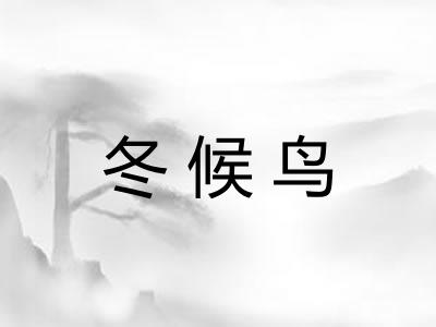 冬候鸟 冬候鸟