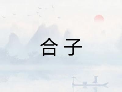 合子