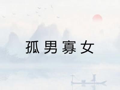 孤男寡女