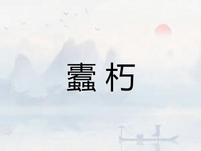 蠹朽