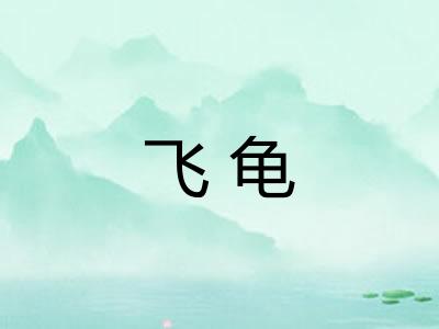 飞龟
