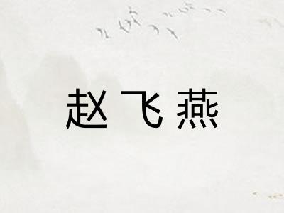 赵飞燕 赵飞燕