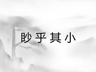 眇乎其小