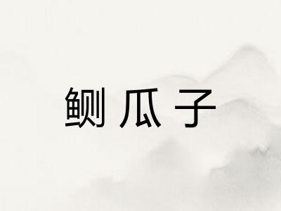 鲗瓜子