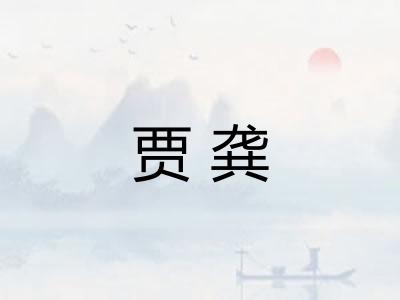 贾龚