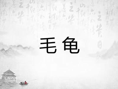 毛龟
