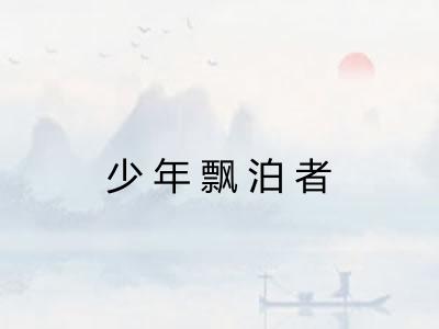 少年飘泊者 少年飘泊者
