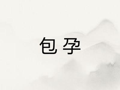 包孕 包孕