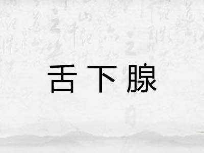 舌下腺 舌下腺