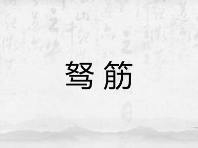 驽筋