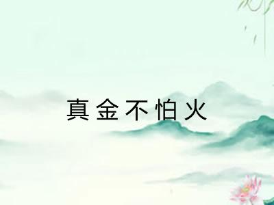 真金不怕火 真金不怕火