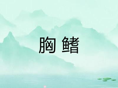 胸鳍
