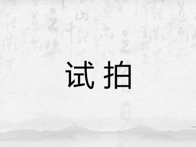 试拍