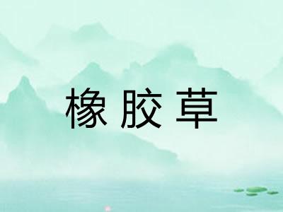 橡胶草