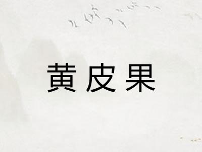 黄皮果 黄皮果