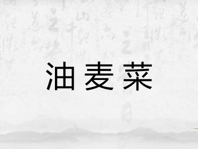 油麦菜 油麦菜
