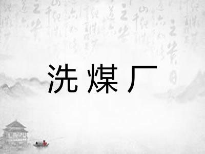 洗煤厂 洗煤厂