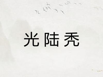 光陆秃