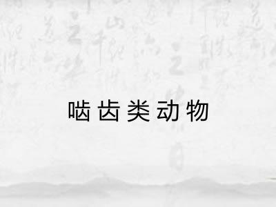 啮齿类动物 啮齿类动物