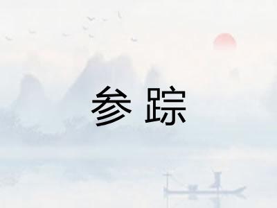 参踪 参踪