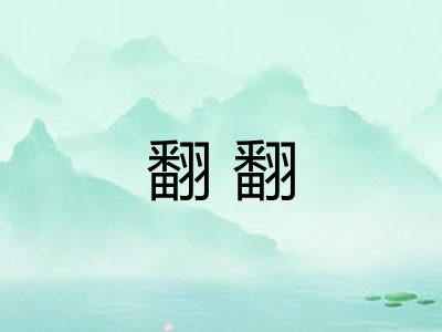 翻翻