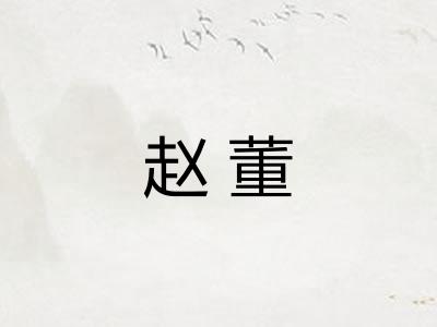 赵董