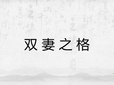 双妻之格