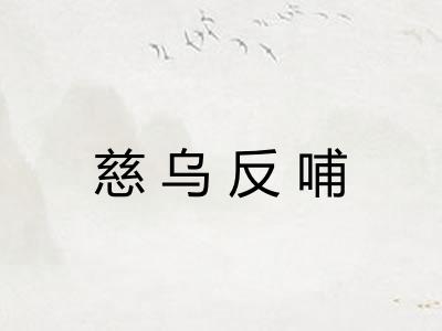 慈乌反哺