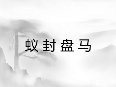 蚁封盘马
