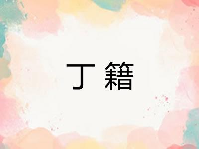 丁籍