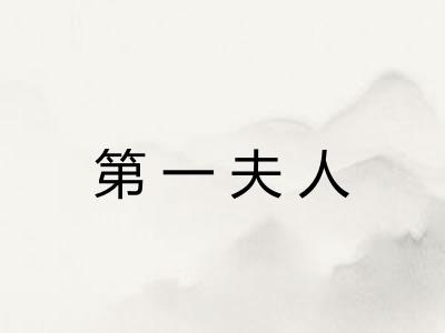 第一夫人 第一夫人