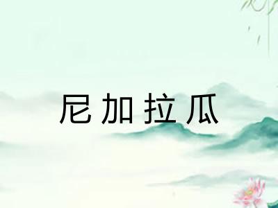 尼加拉瓜