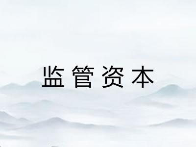 监管资本 监管资本