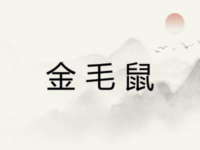 金毛鼠 金毛鼠