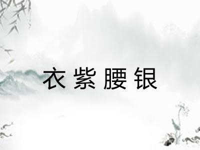 衣紫腰银 衣紫腰银