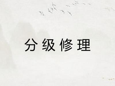 分级修理 分级修理