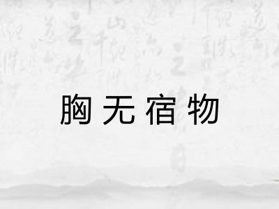 胸无宿物 胸无宿物