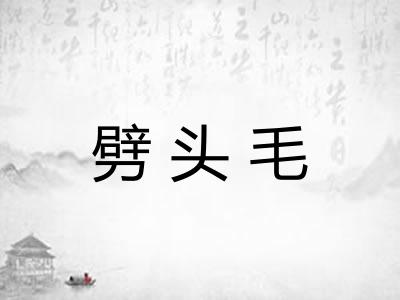 劈头毛