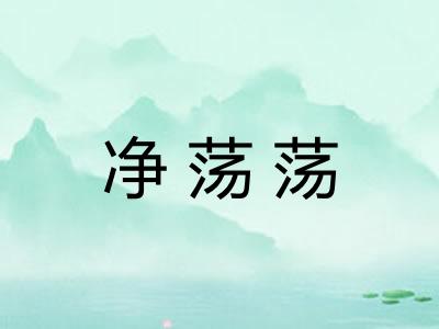 净荡荡 净荡荡