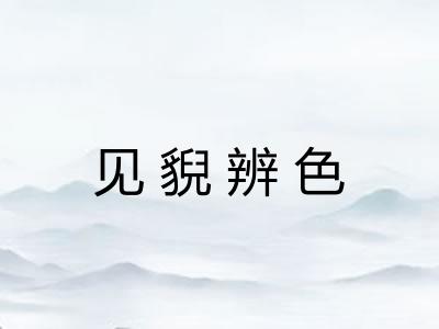 见貎辨色