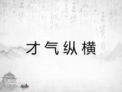才气纵横 才气纵横