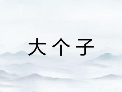 大个子 大个子