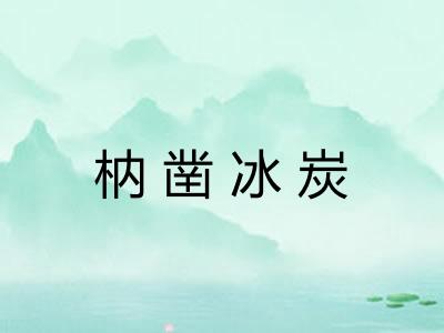枘凿冰炭