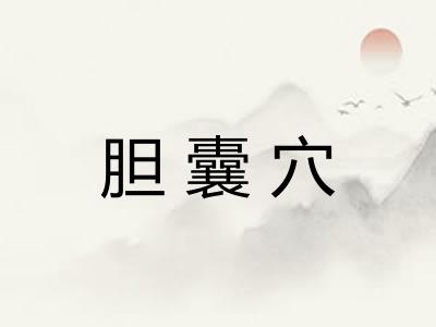 胆囊穴