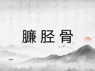 臁胫骨