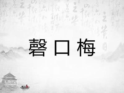 磬口梅 磬口梅