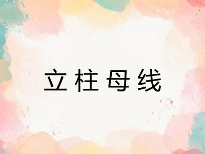 立柱母线