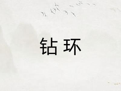 钻环 钻环