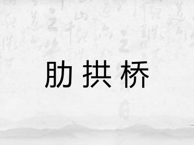 肋拱桥