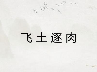 飞土逐肉